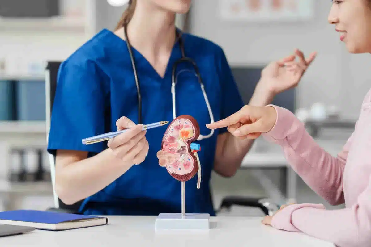 Major Effects of Chronic Dehydration on Kidney Function